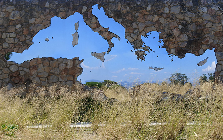 Reflet d'un palmier dans l'eau