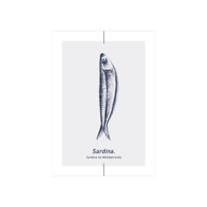 carte postale sardine méditerranée