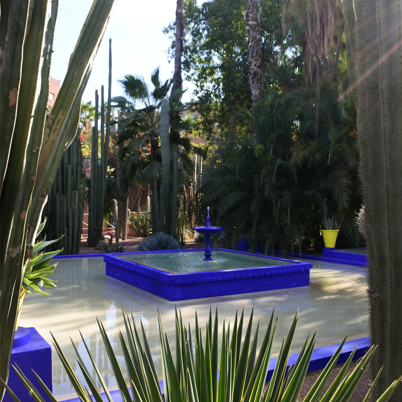 Bassin bleu au jardin majorelle Marrakech