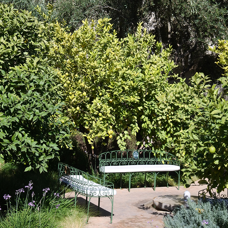 jardin secret marrakech banc